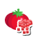 Pulpe de tomates BIO